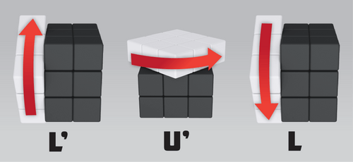 Solve Your First Rubik’s Cube with the Coach Cube!