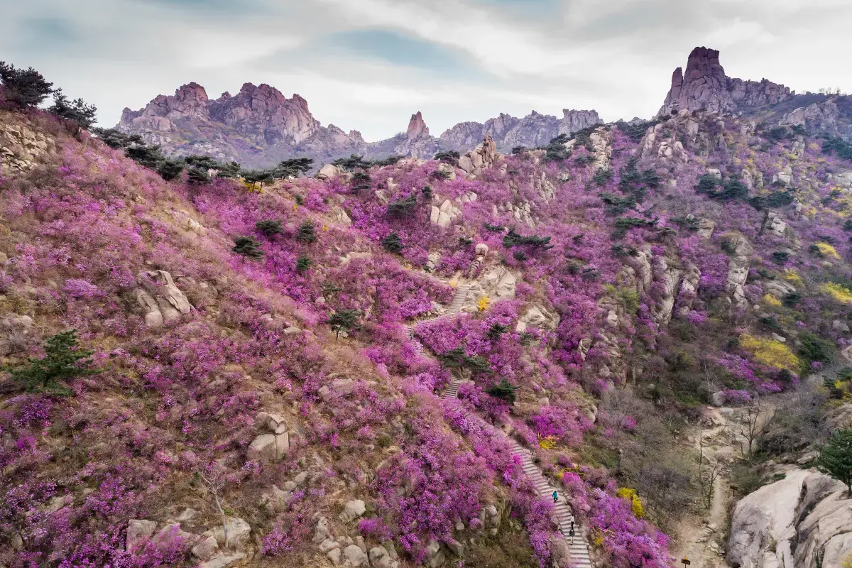 Why Qingdao is the Ultimate Internship Destination: Beaches, Hikes, and Career Growth