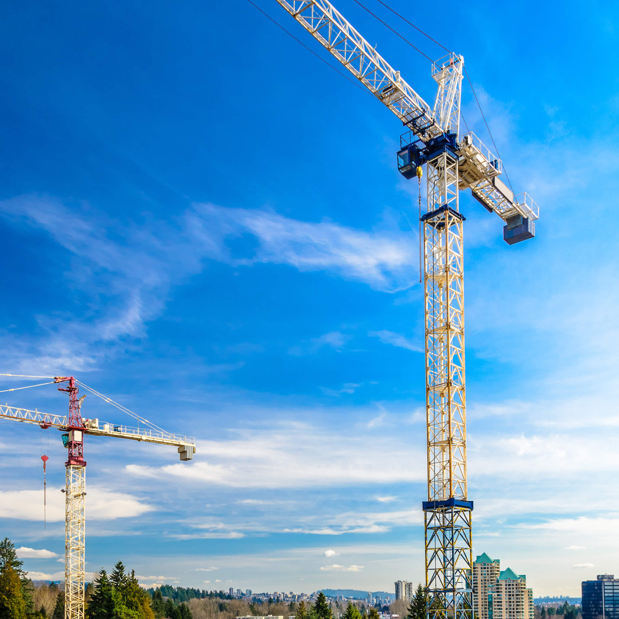 Two tall construction cranes above trees and buildings under a bright blue sky with some clouds.
