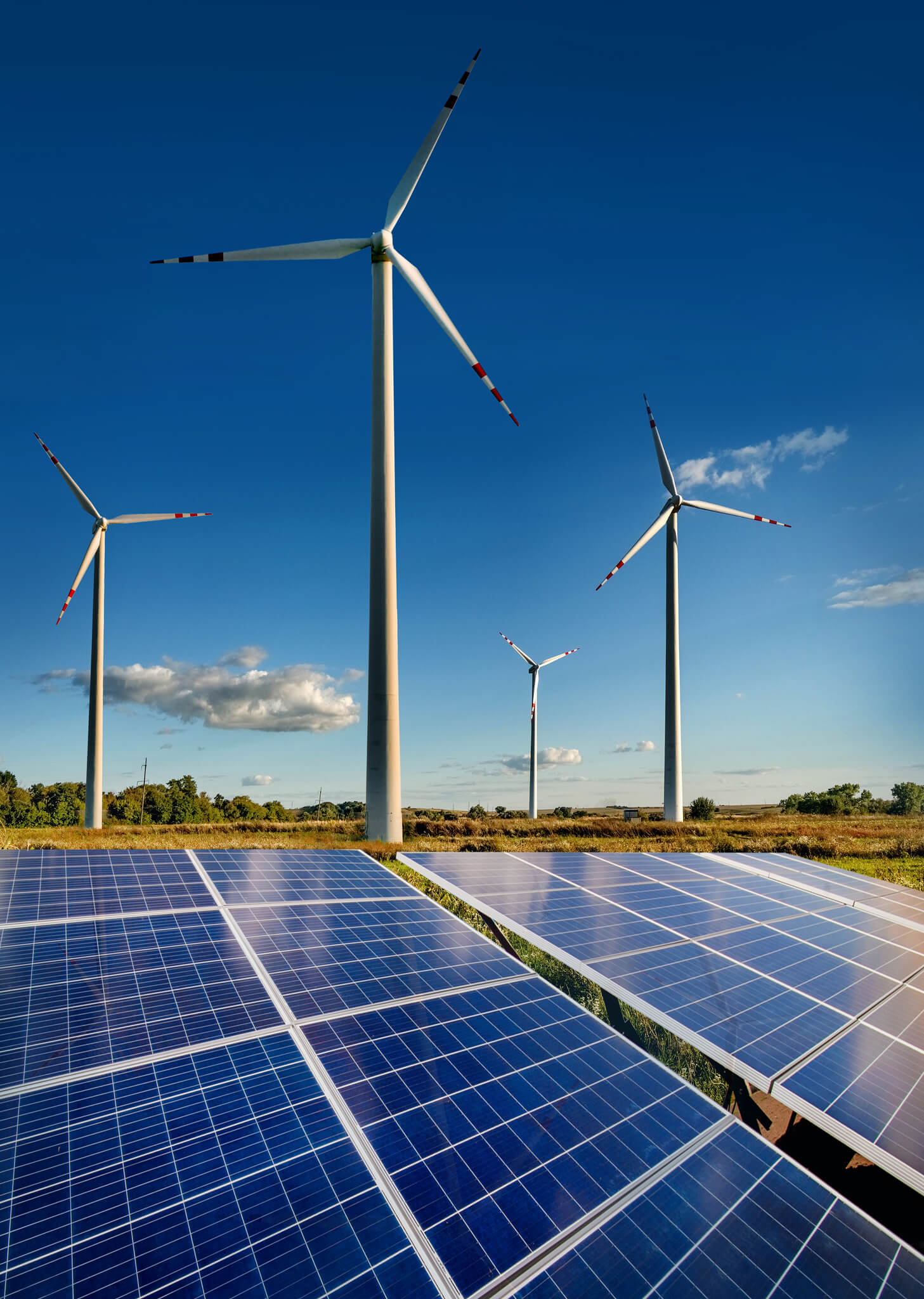 Solar panels in the foreground with wind turbines behind under a clear blue sky.