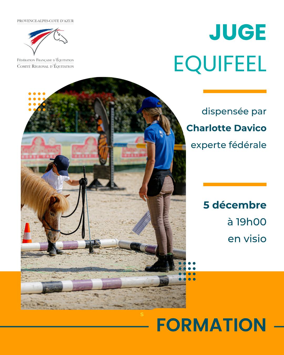 Formation juges Equifeel en visio 5 décembre 2025