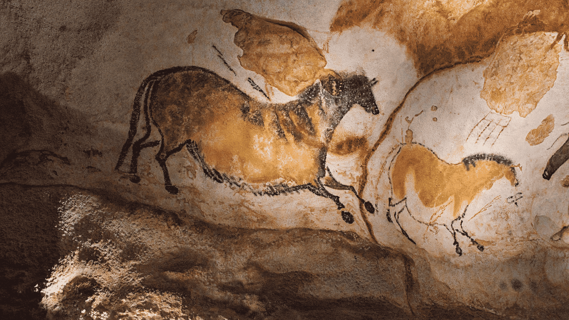 Les chevaux préhistoriques de notre région, par Sonia Barthélémy