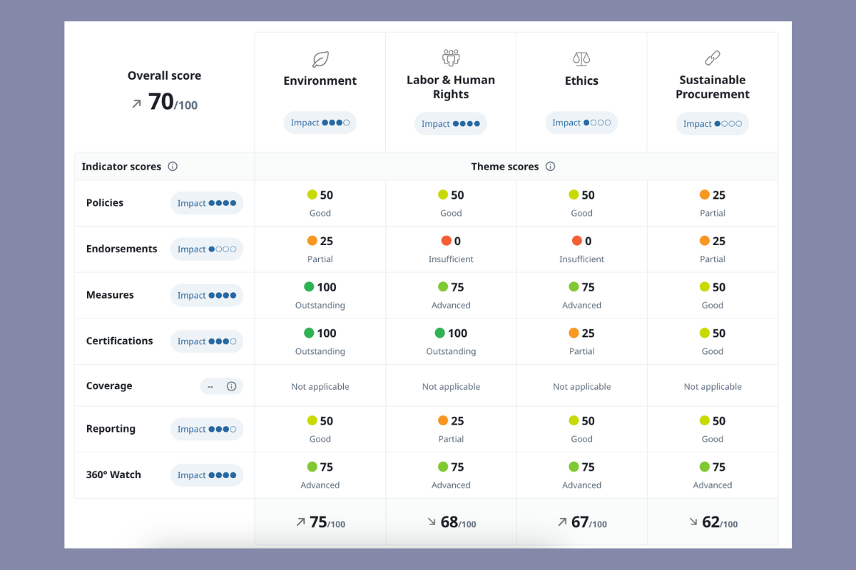 Example of an EcoVadis Scorecard