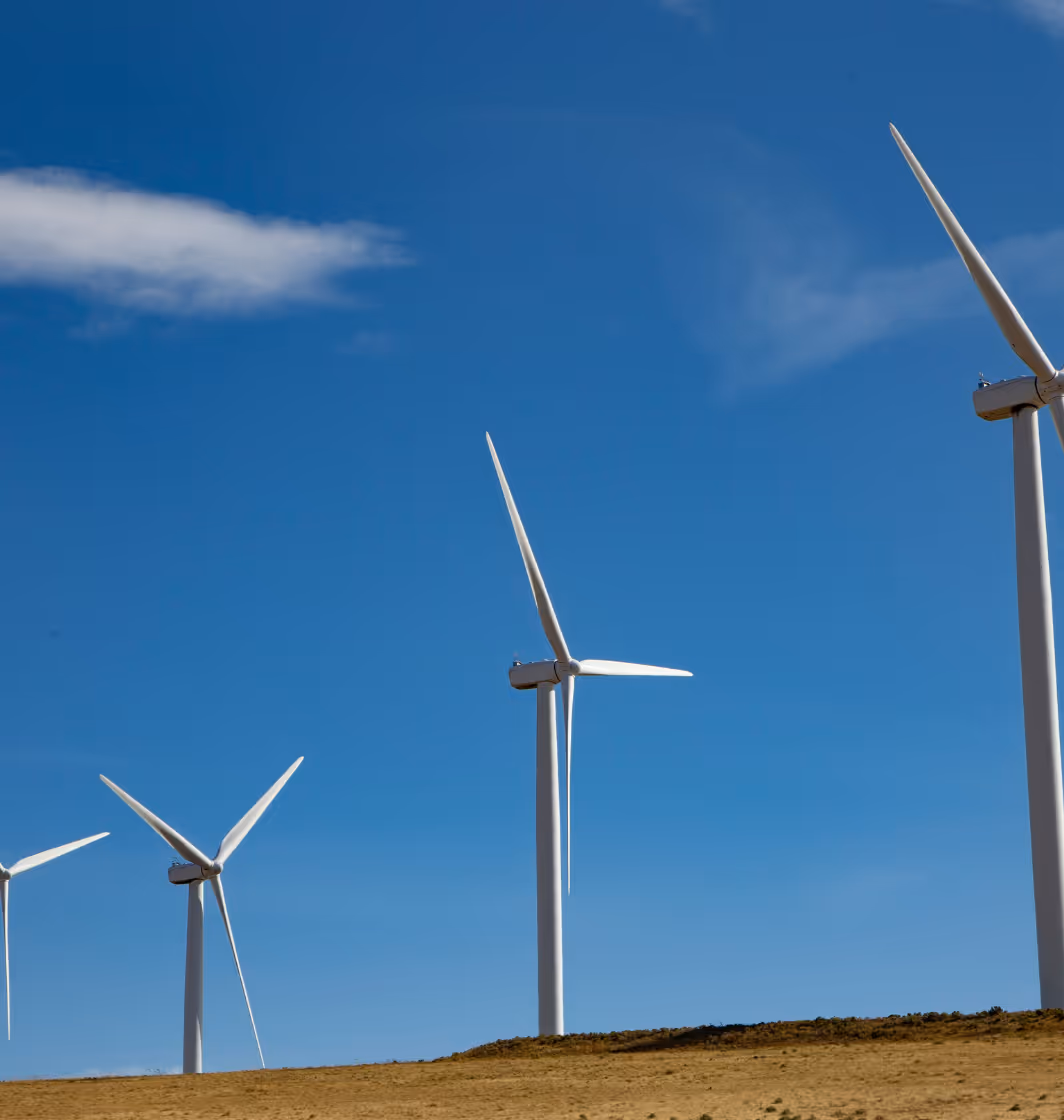 Wie EnBW mit Sunhat eine kollaborative Plattform für ESG-Daten etabliert