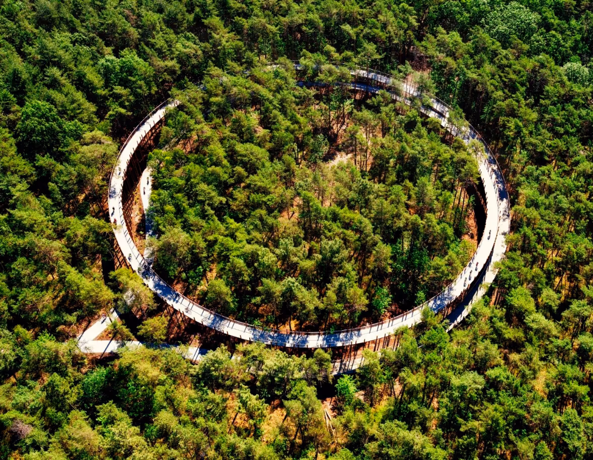 How Smulders Achieved EcoVadis Silver with ��ݮ��Ƶ