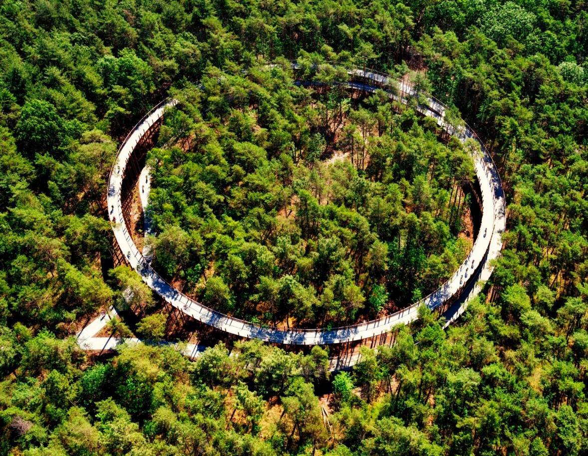 How Smulders Achieved EcoVadis Silver with 91��ɫ��Ƶ