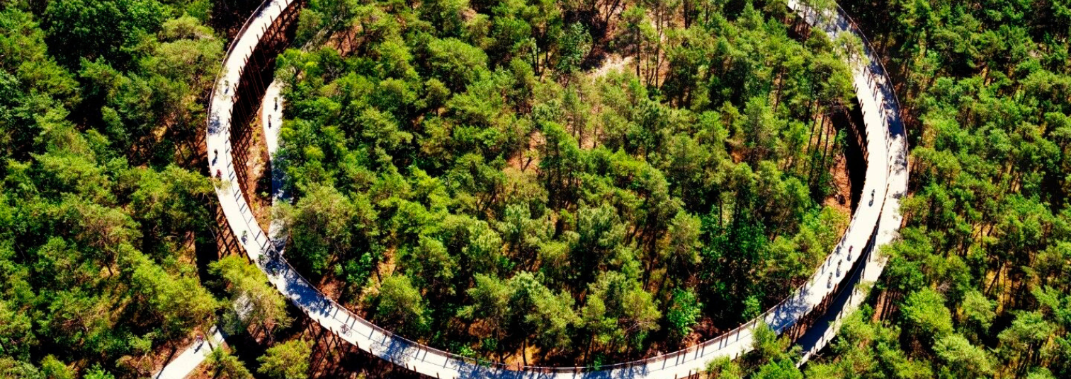 How Smulders Achieved EcoVadis Silver with Sunhat