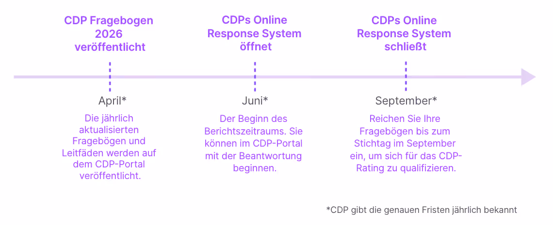 脺bersicht zum CDP Reporting Fenster