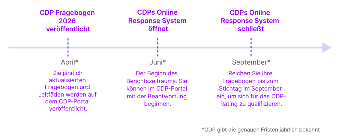 Übersicht zum CDP Reporting Fenster