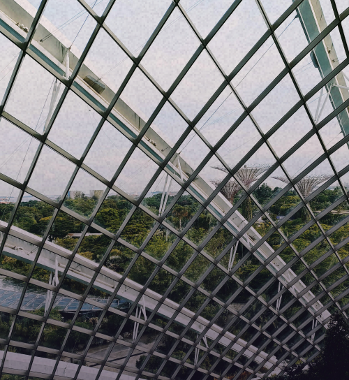 Titelbild Compliance Check, das ein Gebäude mit Bäumen im Hintergrund zeigt