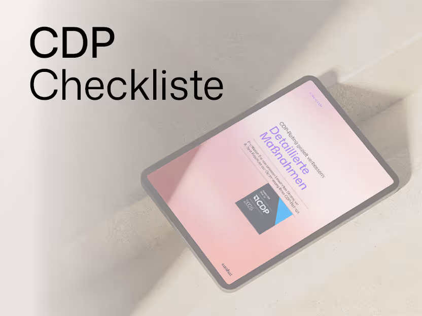 CDP Checkliste Thumbnail