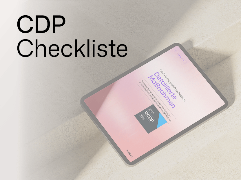 CDP Checkliste Thumbnail