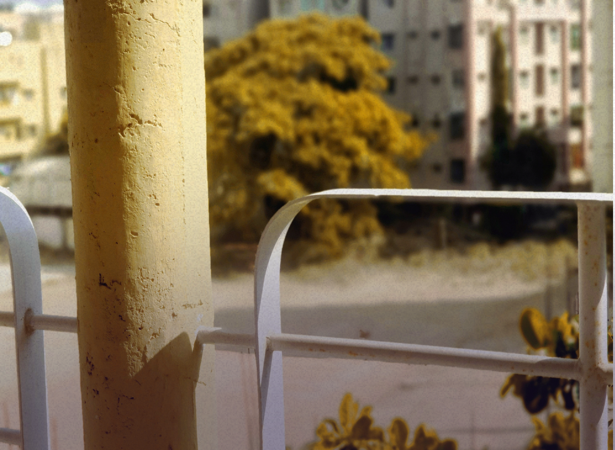 Landscape shot showing a lightpost and a guardrail