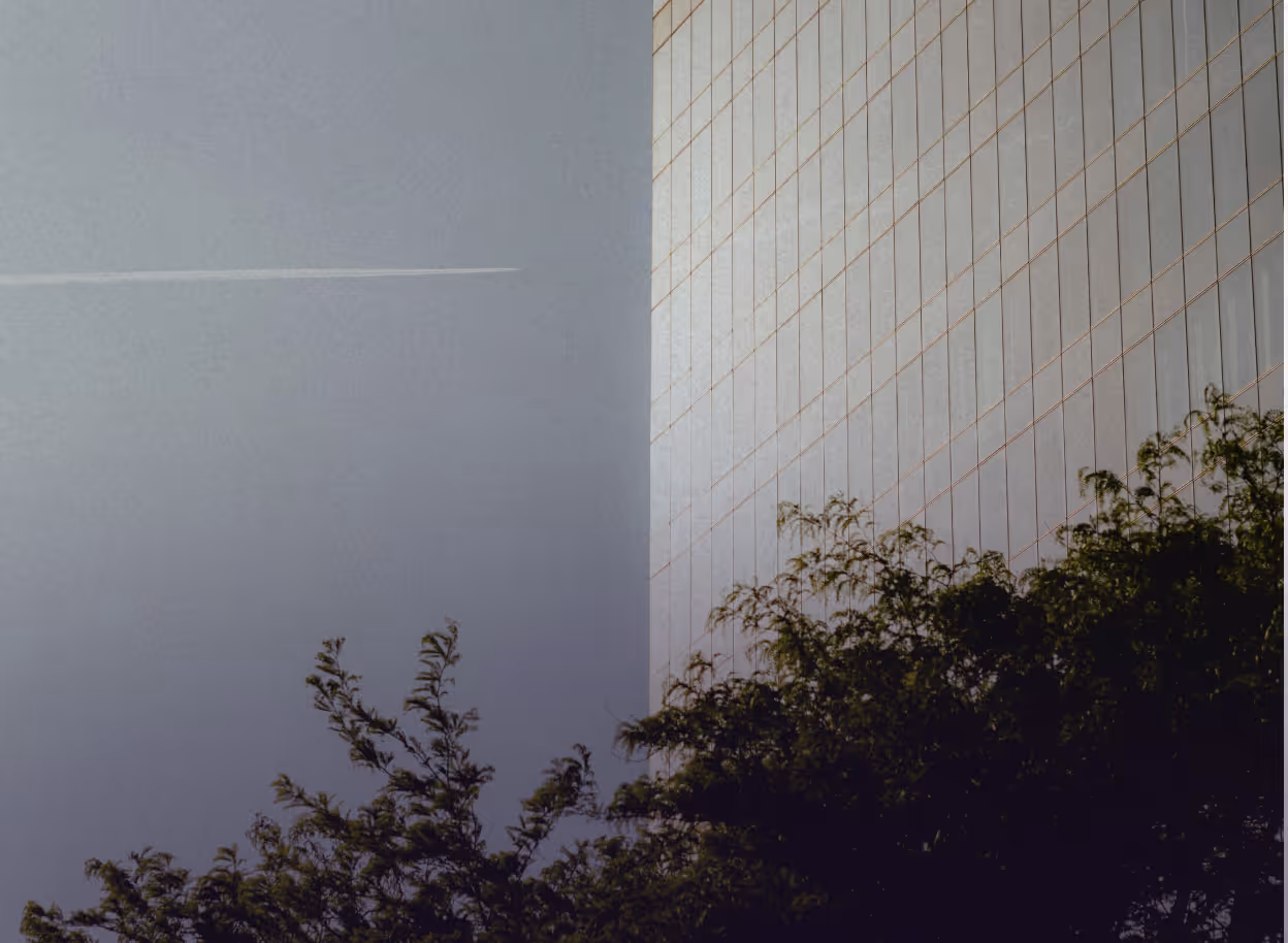Tree in front of a building