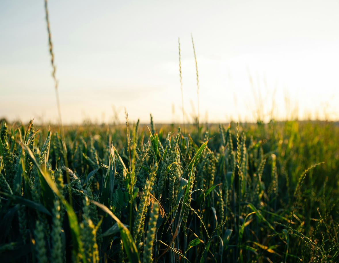 How Ingredion Brazil cut SMETA Audit Preparation in Half with Sunhat