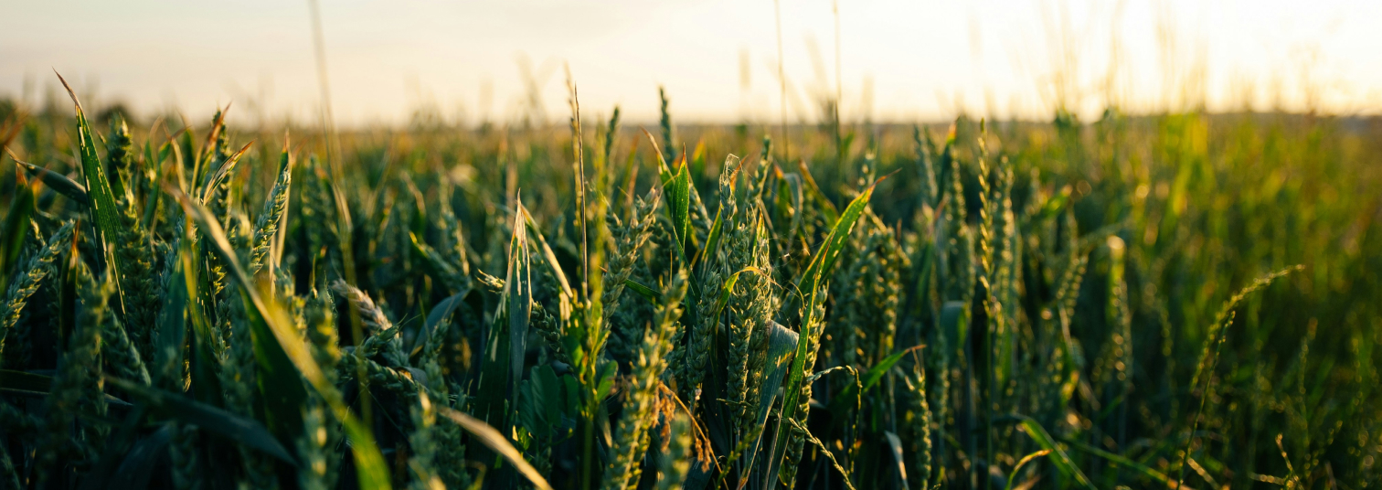 How Ingredion Brazil cut SMETA Audit Preparation in Half with Sunhat