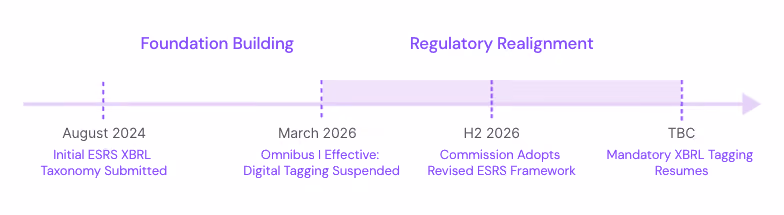 The 5 Steps process of XBRL resumption