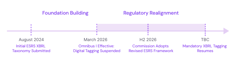 The 5 Steps process of XBRL resumption