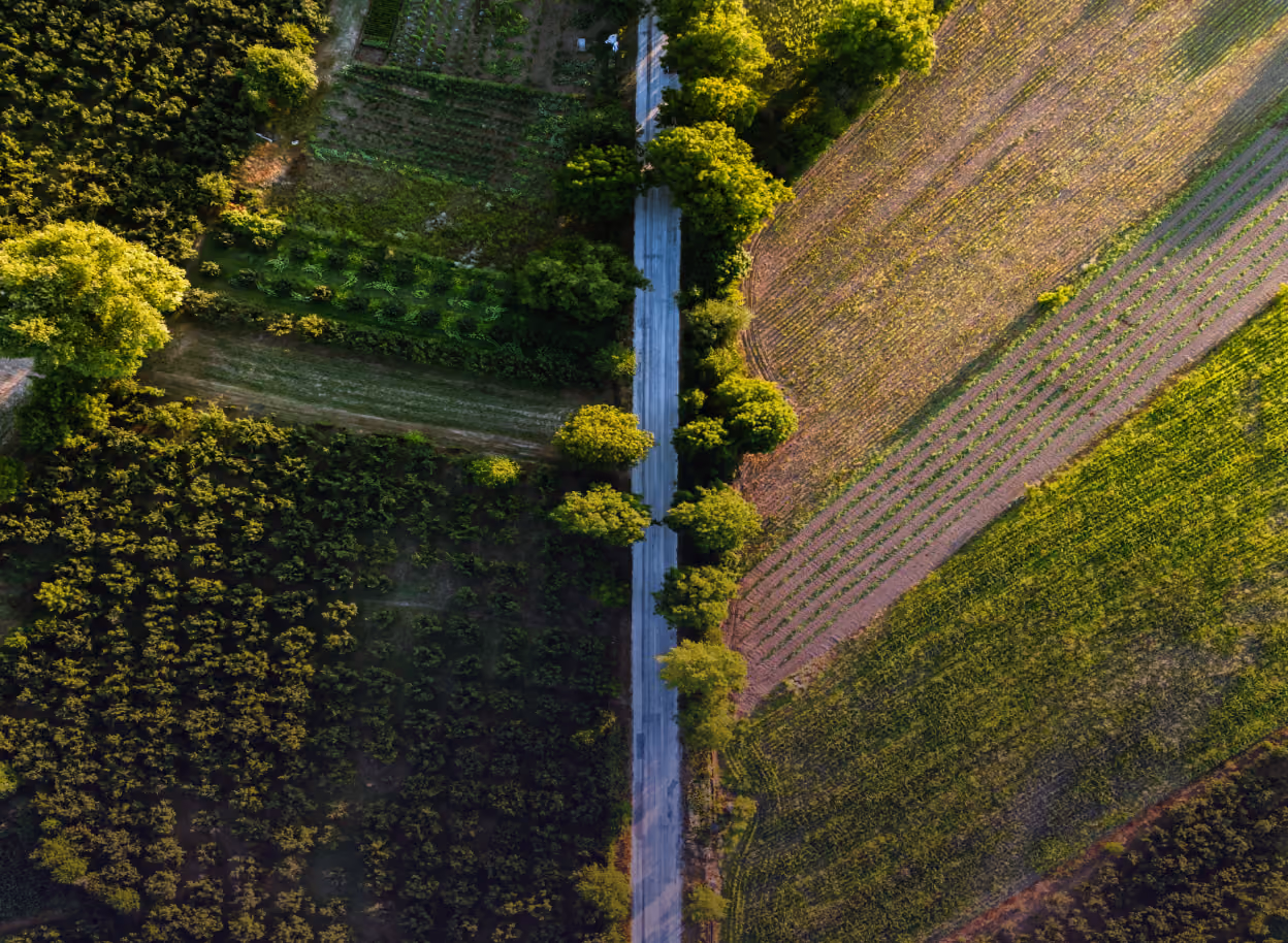 Eine atemberaubende Luftaufnahme einer Landstraße, die sich durch farbenfrohes Sommerfeld mit üppigem Grün schlängelt