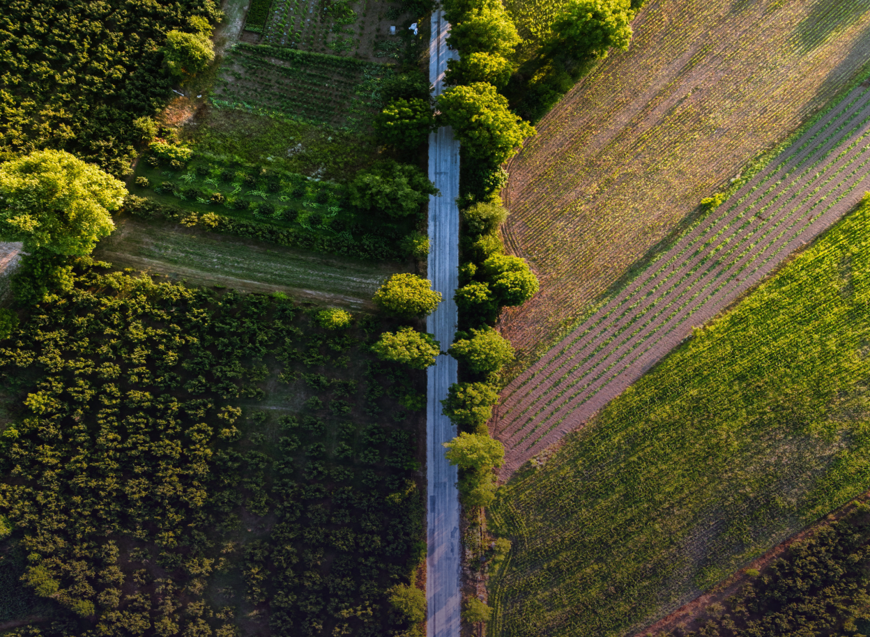 A stunning aerial view of a rural road cutting through vibrant summer farmland with lush greenery