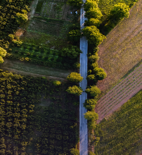 A stunning aerial view of a rural road cutting through vibrant summer farmland with lush greenery