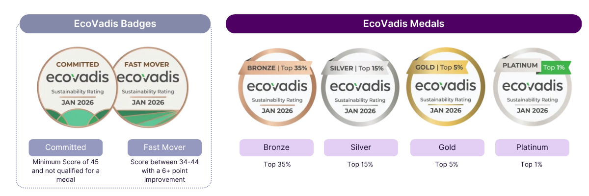 Overview of EcoVadis Medals and Badges (accessed online on November 25, 2024, from the EcoVadis resource page)