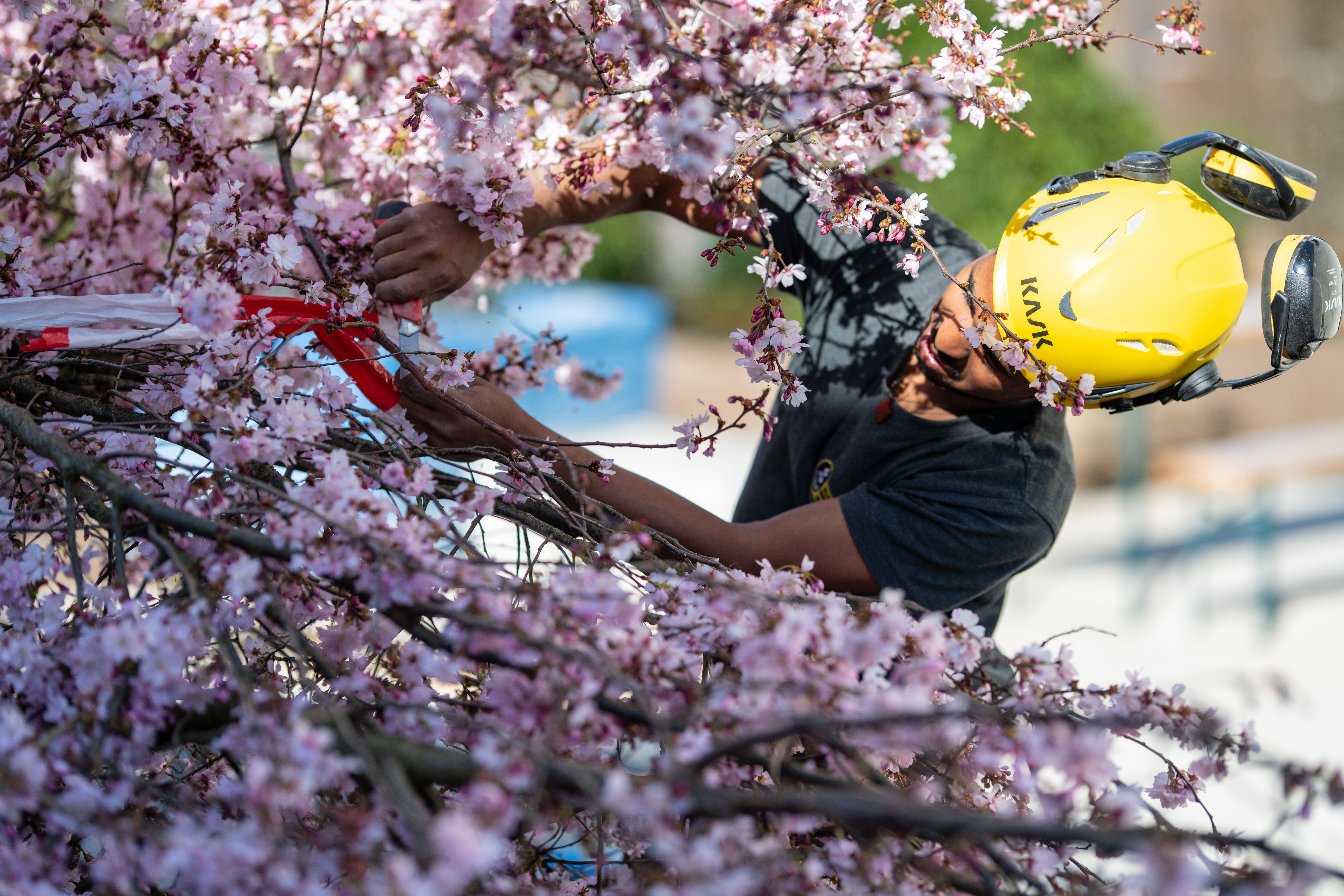 E.+R. Forrer Gartenbau AG