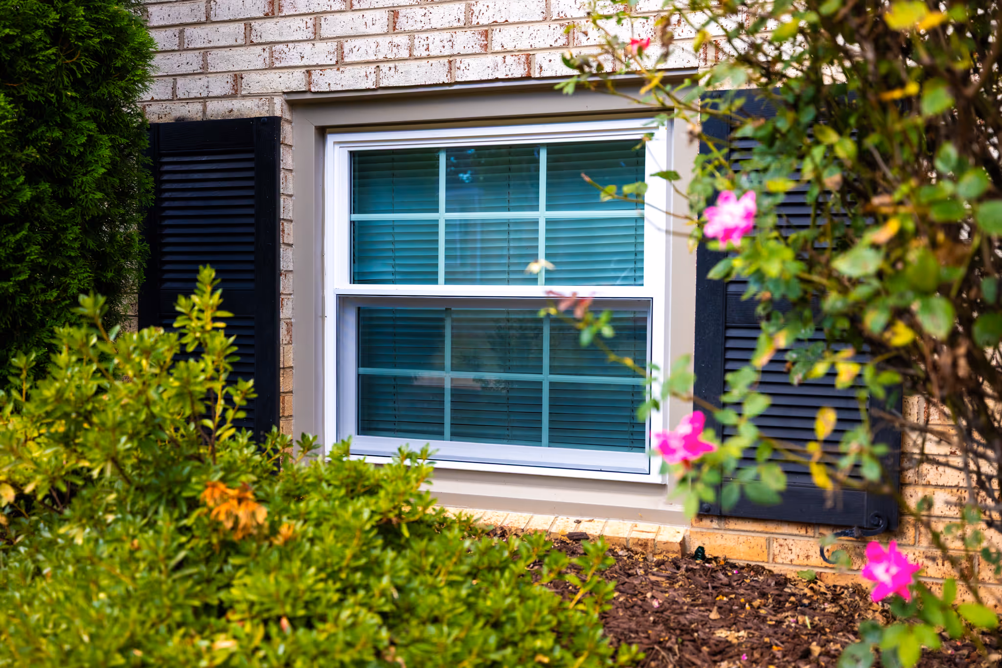 Professional Window Services by Cenvar Roofing