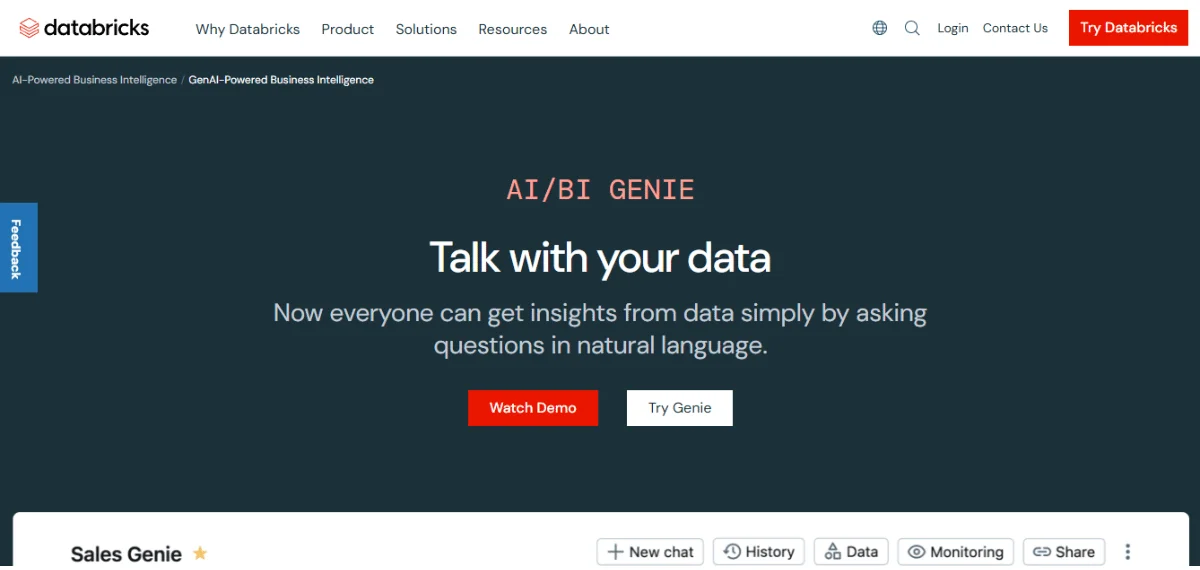 Databricks AIBI Genie Homepage