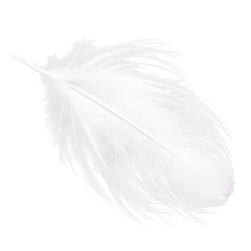 White feather