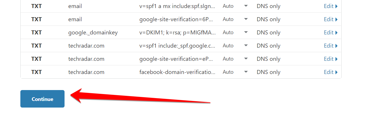 Click Continue in Cloudflare that show all DNS records