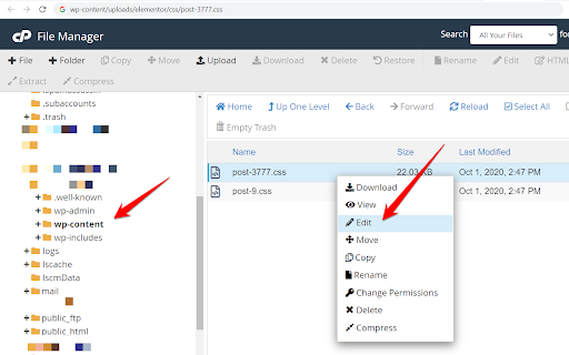 Locate the file that is causing the mixed content issue