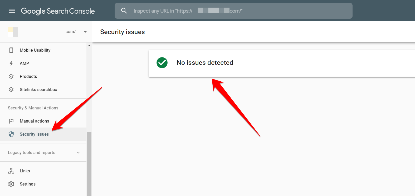 Google Console Security Issues