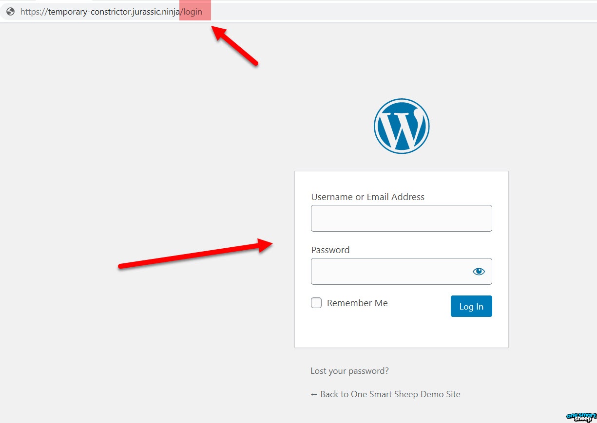 WordPress Login