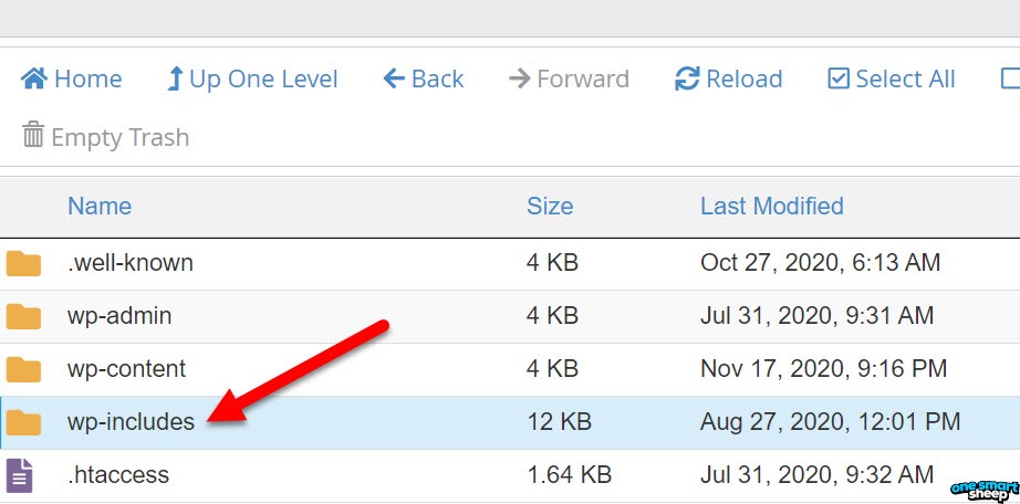 wp includes folder in Cpanel Location