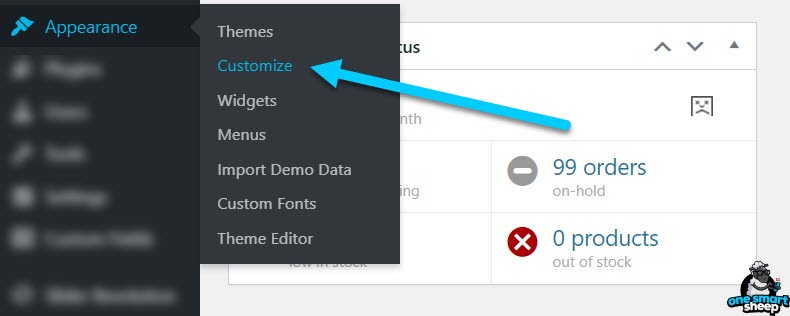 Customize WordPress Settings