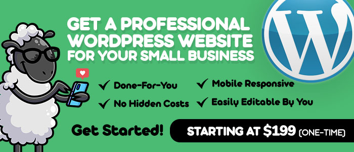 Professional WordPress Site