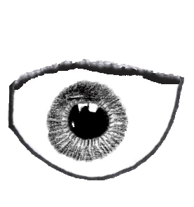 sein droit oeil clignant de la pieuvre