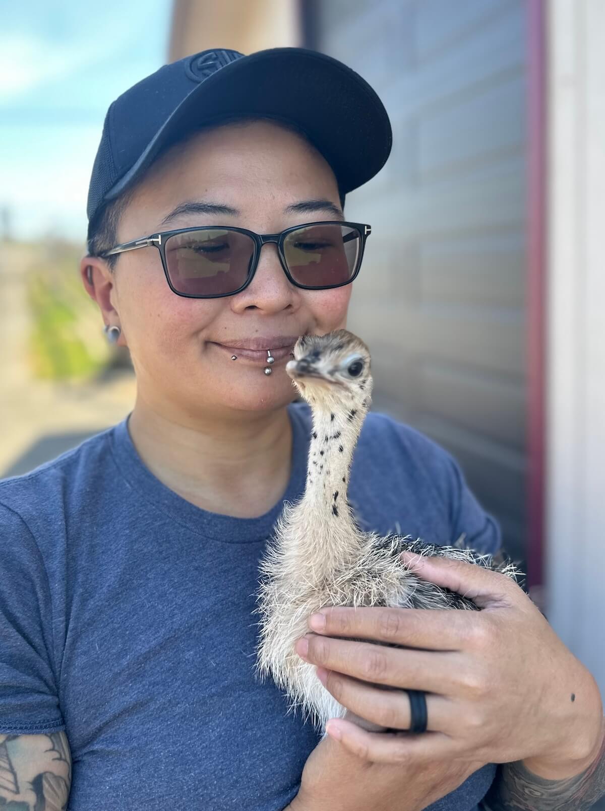 A person holding a baby ostrich chick