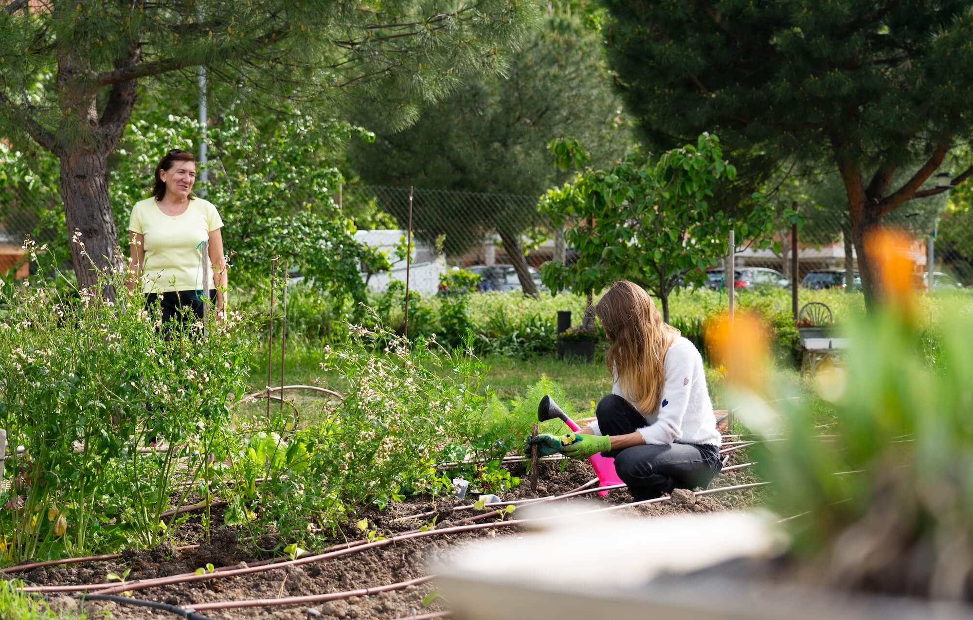 women working in the garden growing a variety of v