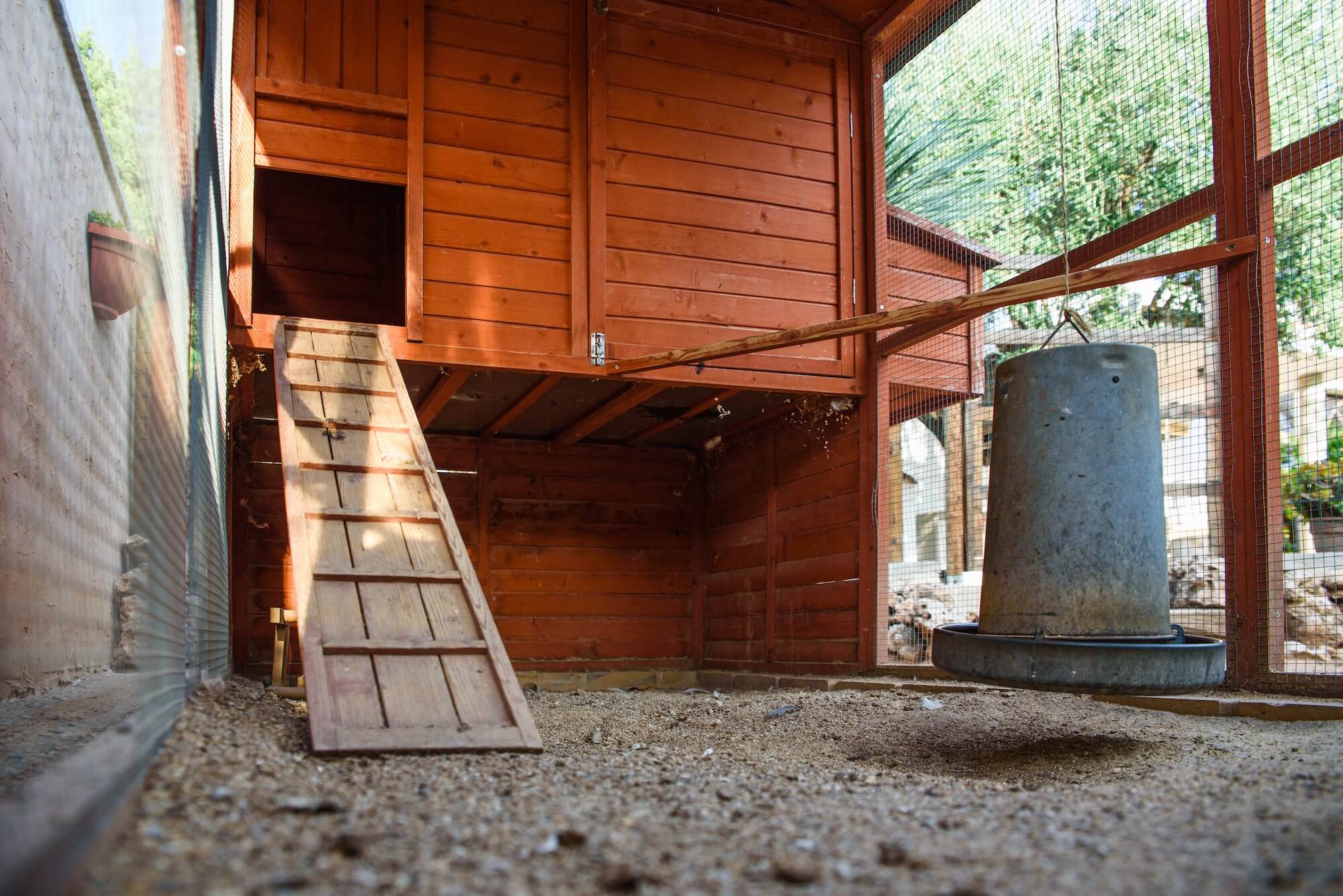 the inside of a chicken coop that needs cleaning