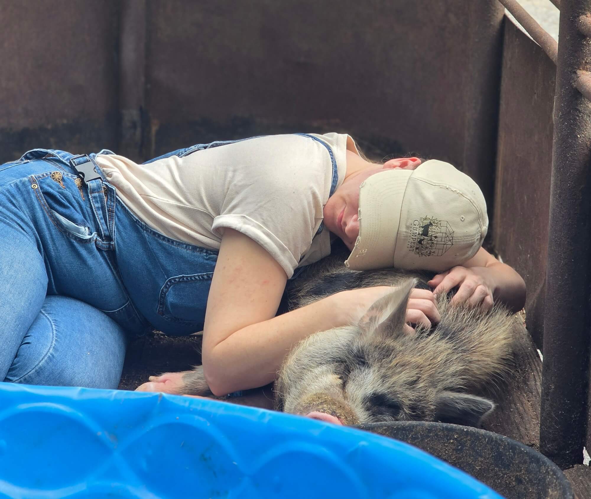 A person hugs a pig at Gumpert Homestead