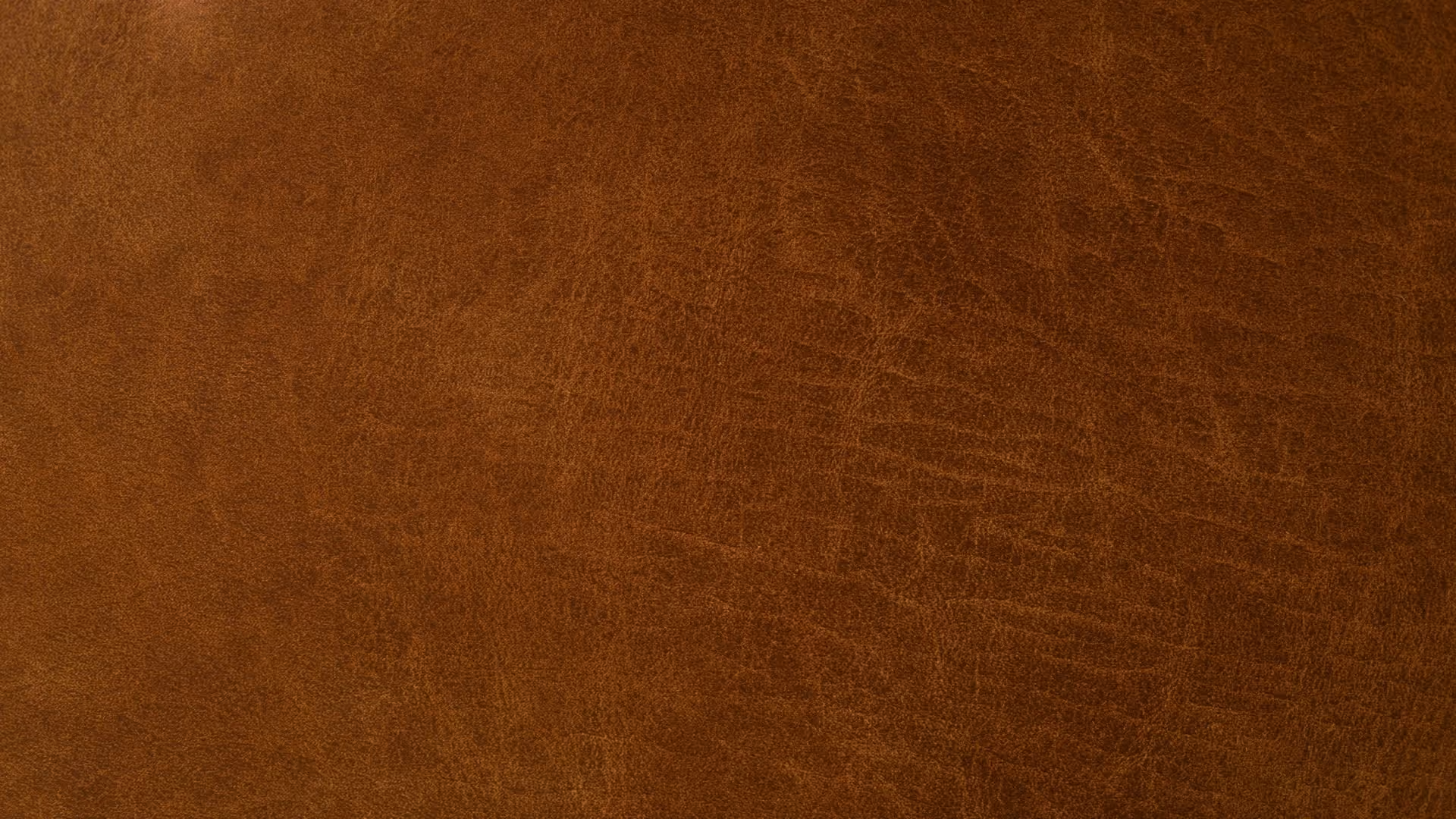 Close-up of textured brown leather surface with natural creases and grain.