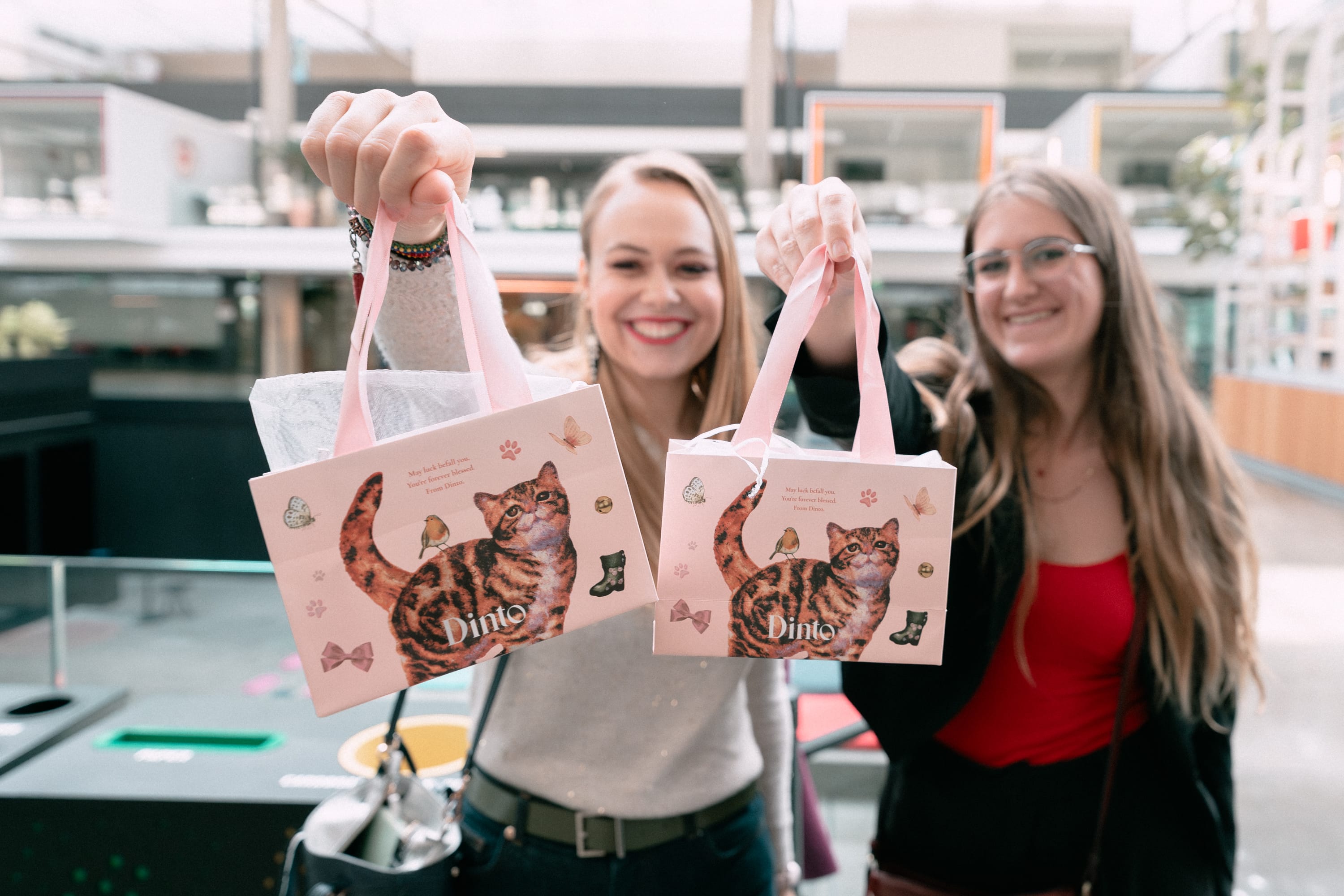 Two smiling women holding pink gift bags with a cat illustration and the word 'Dinto' on them.
