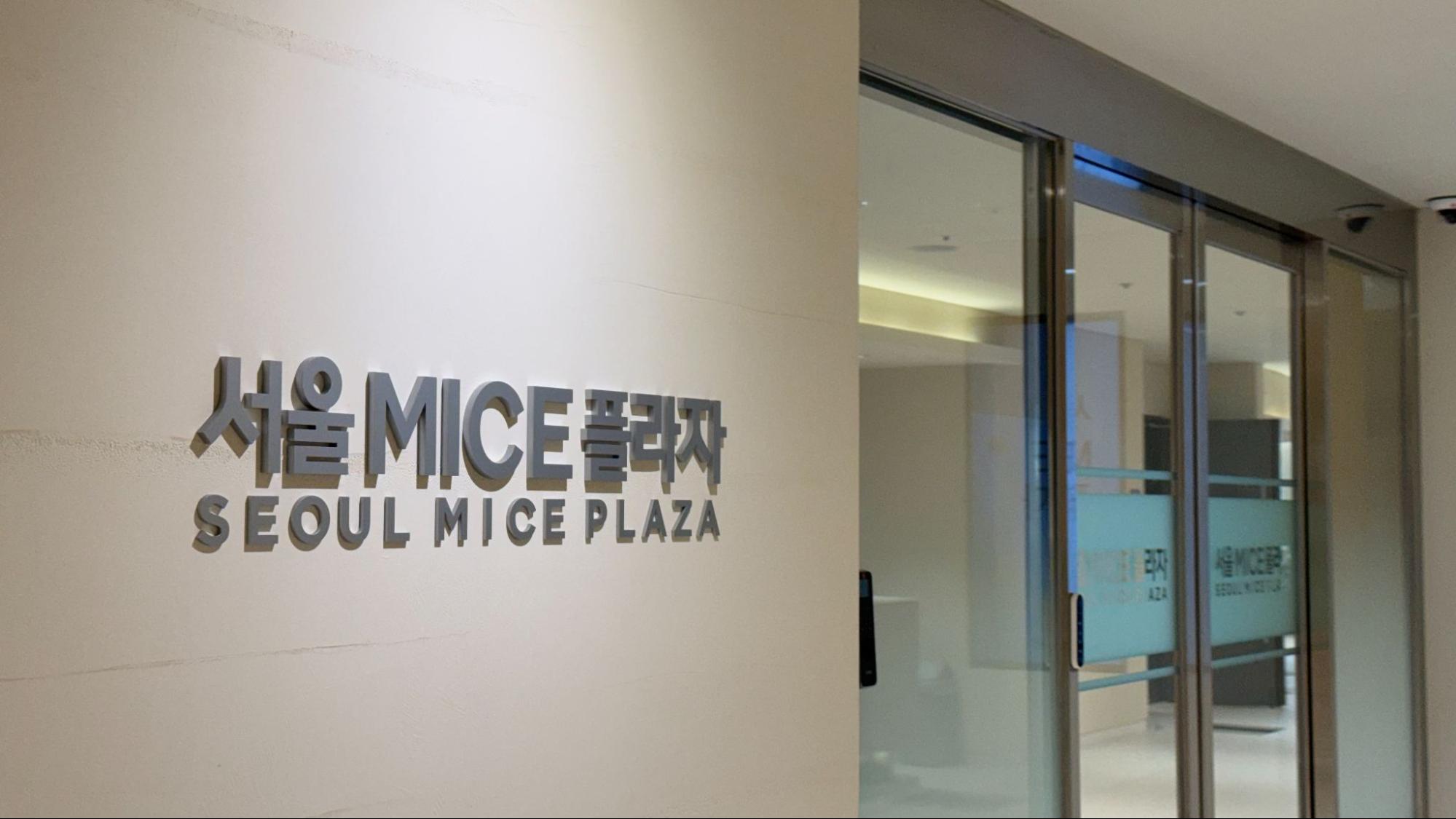 Group of diverse women posing cheerfully on yoga mats outdoors with city skyline in the background.