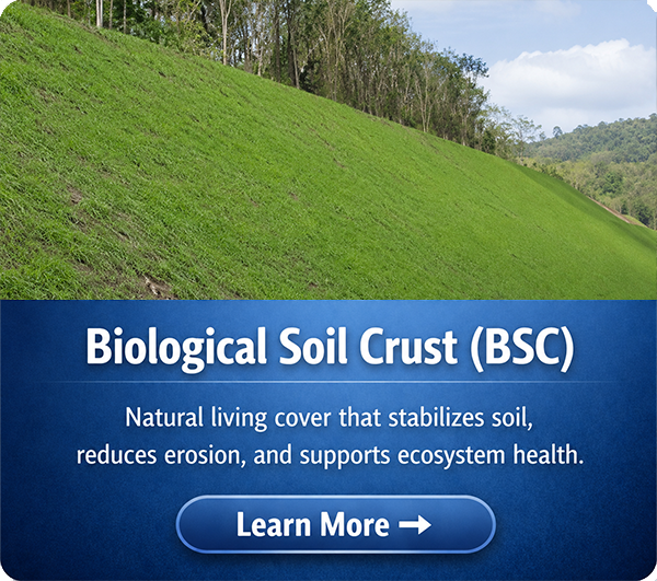 Green hill covered with biological soil crust above blue text explaining its soil and ecosystem benefits.