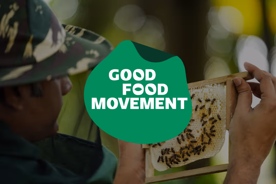 Good Food Movement brand identity and website design by Everything Design