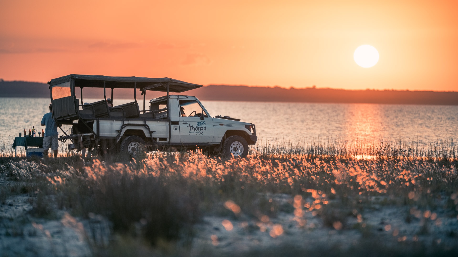 Krokodil in der Lagune des iSimangaliso Wetland Parks, Südafrika