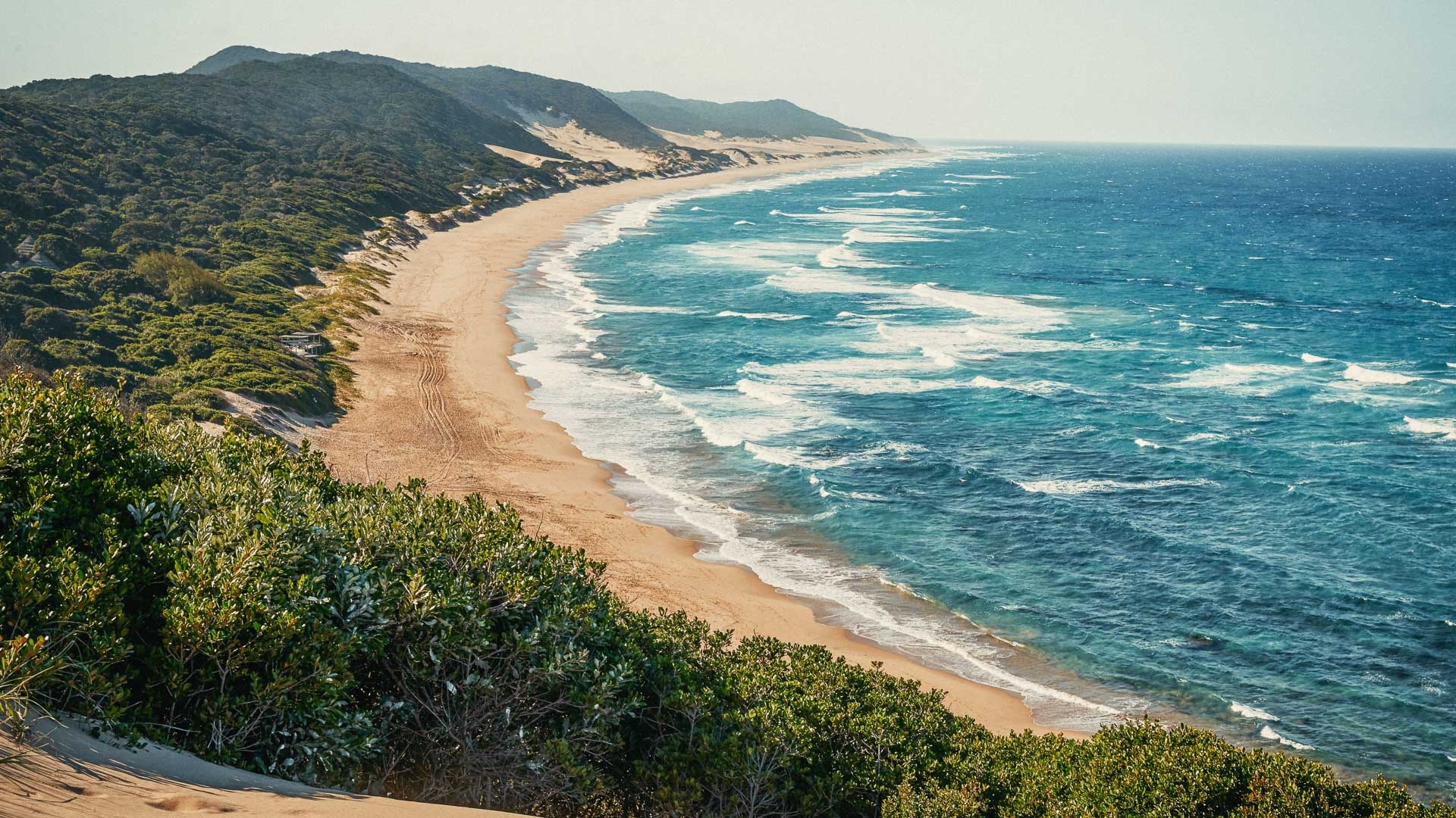 Flusspferd im iSimangaliso Wetland Park, Südafrika