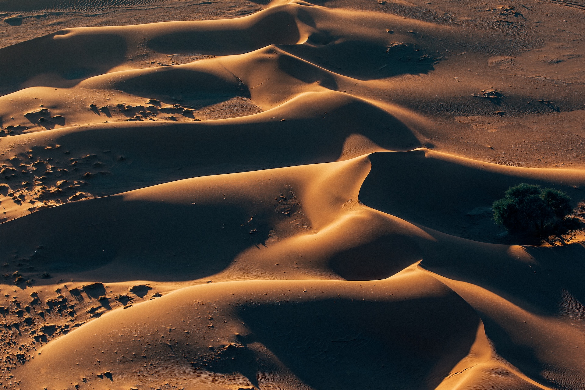 Sonnenaufgang über den roten Dünen des NamibRand, Namibia